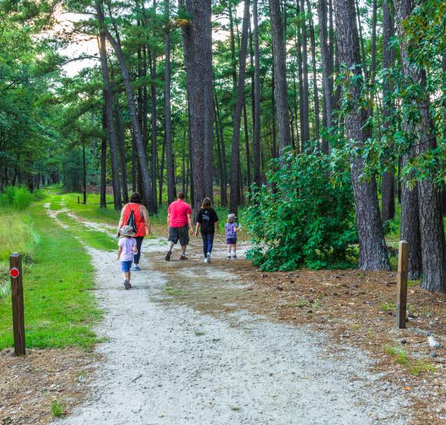Carvers Creek State Park Walking