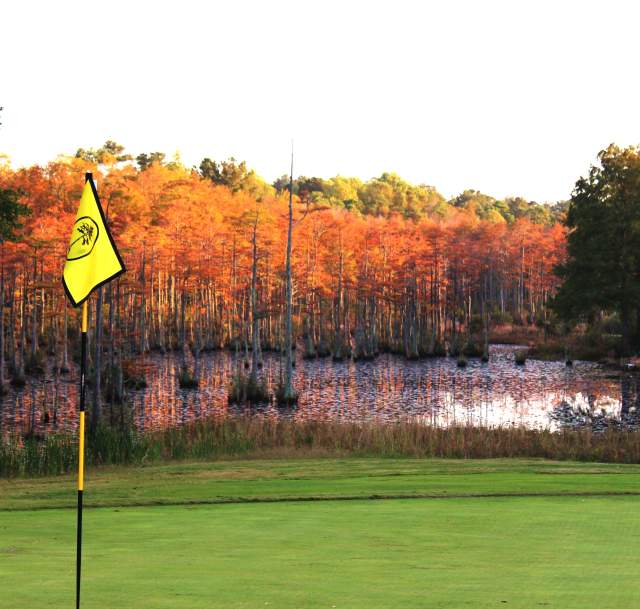 JAMES BRITT_LANDSCAPE_CYPRESS LAKES GOLF COURSE
