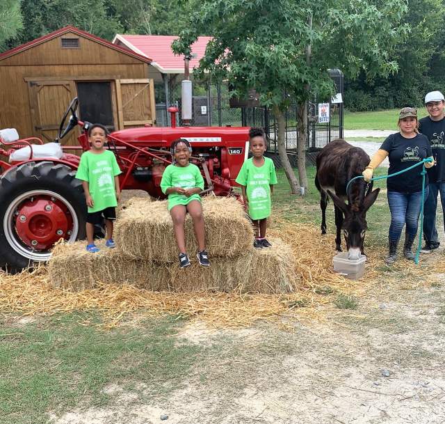 A smiling multigenerational family stands by a red tractor and hay bales at a Fayetteville farm, wearing matching green reunion shirts as a mule grazes nearby.