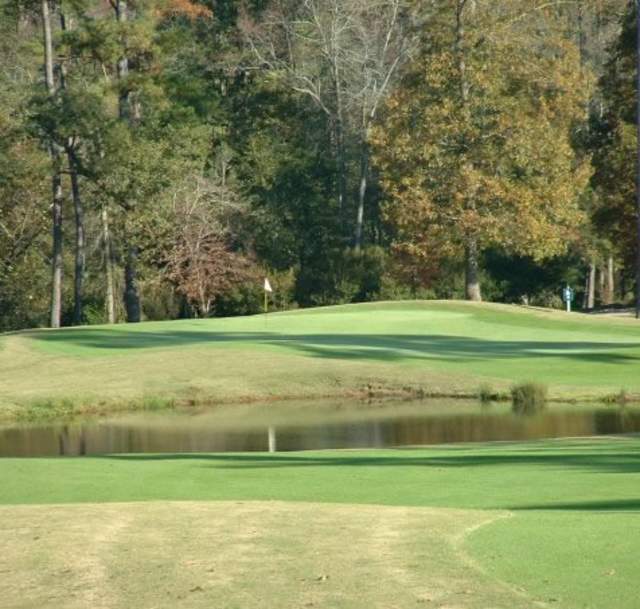 Bayonet at Puppy Creek