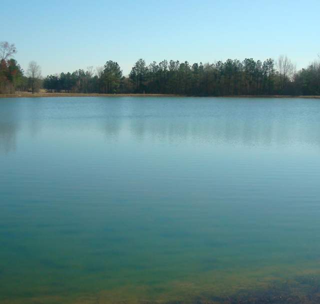 Cedar Creek Fish Farm