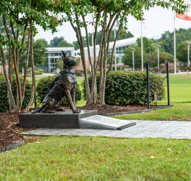 U.S. Army Airborne & Special Operations Museum