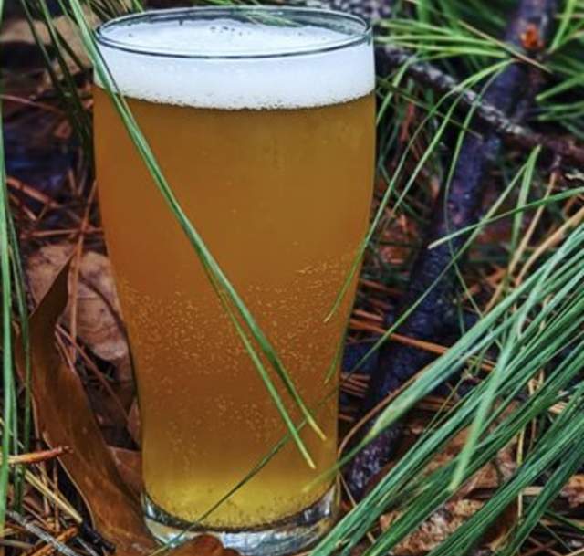 North South Brewing Company