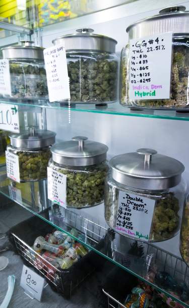 Cannabis Store in San Diego