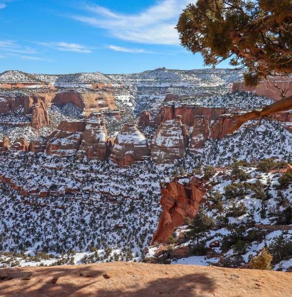 Experience a Different Side of Colorado this Winter in Grand Junction!