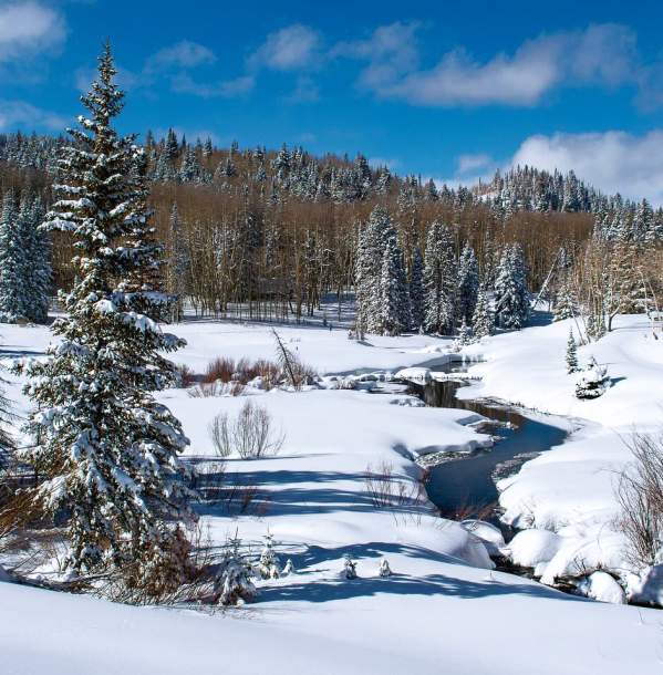 Snowshoeing in the Grand Junction Area