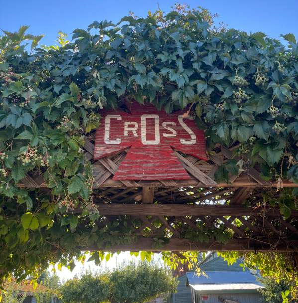 Farmers Market at Cross Orchards