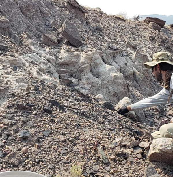 Fossil Prospecting Hike (1-Day Expedition)