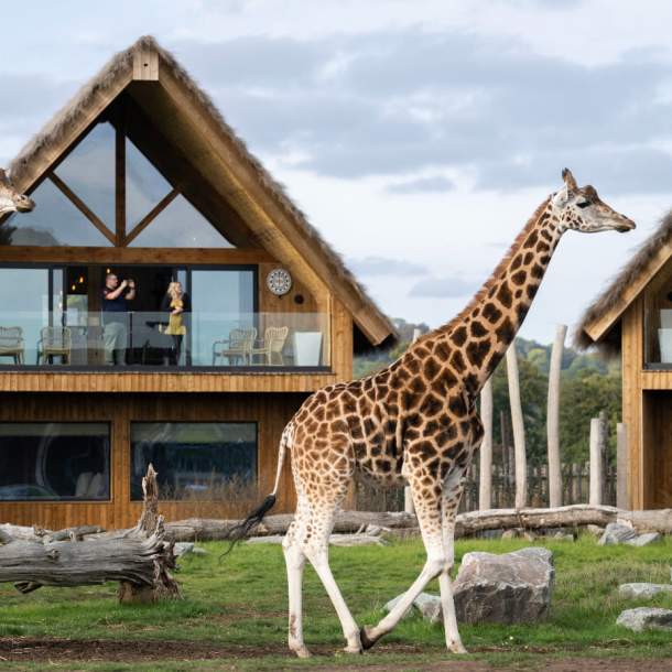 WMSP