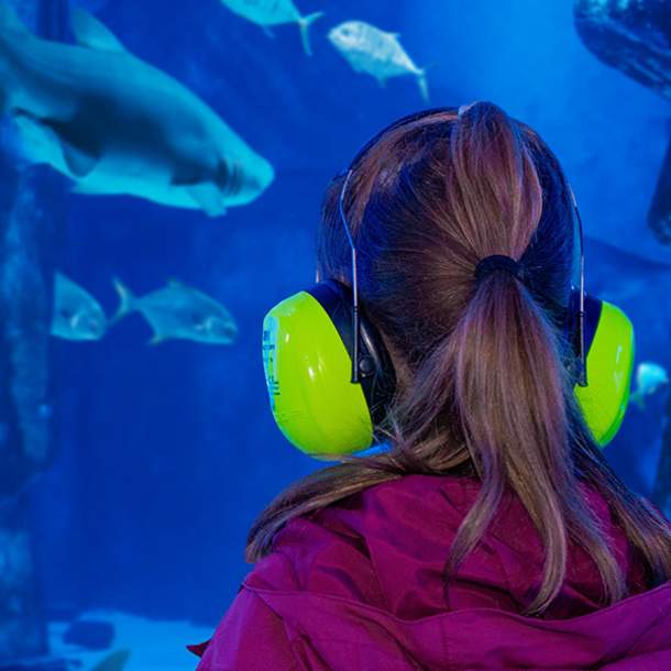 SEA LIFE Neurodiversity