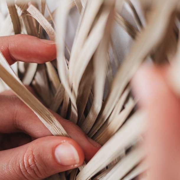 Seaton Wetlands Announces Exciting New Partnership with Earth Rights Collective to Deliver Willow Workshops