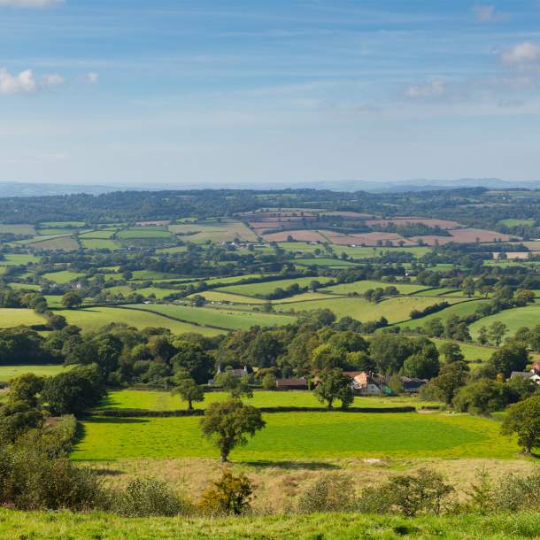 Honiton Free things to do