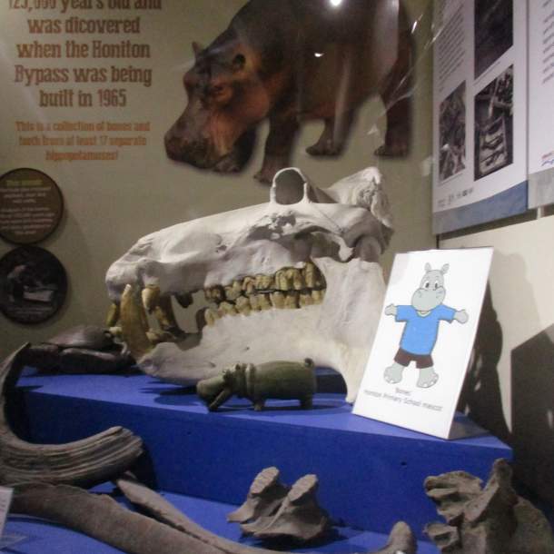 Have you heard of the Honiton Hippo?