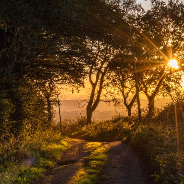 Visit Honiton nestled in nature