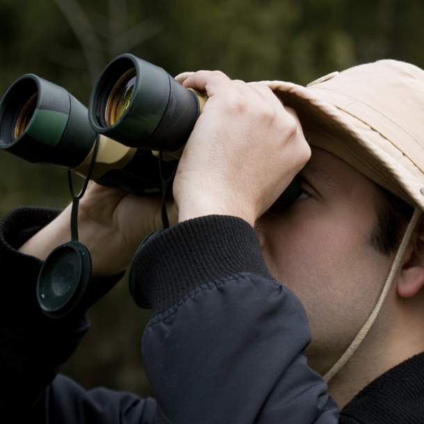 Birdwatching spots near Ottery
