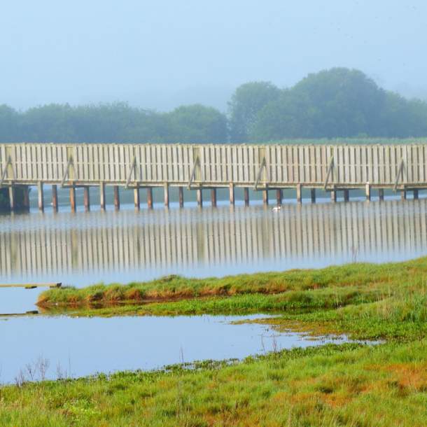 Donation for Seaton Wetlands