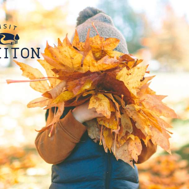 child holding autumn leaves