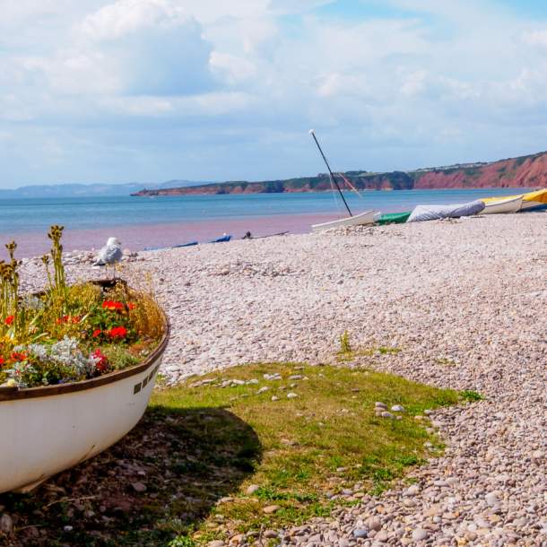 Budleigh Salterton Literary Festival Appoints New President