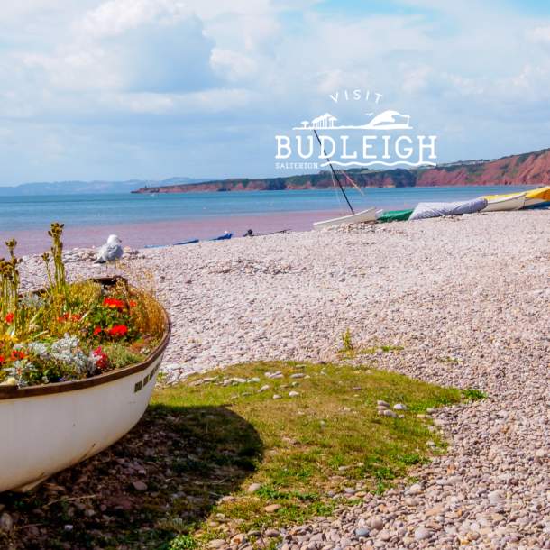 view of budleigh beach with boat used as planter for floral display