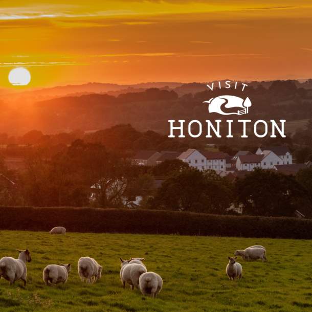 sunset over honiton and field of grazing sheep