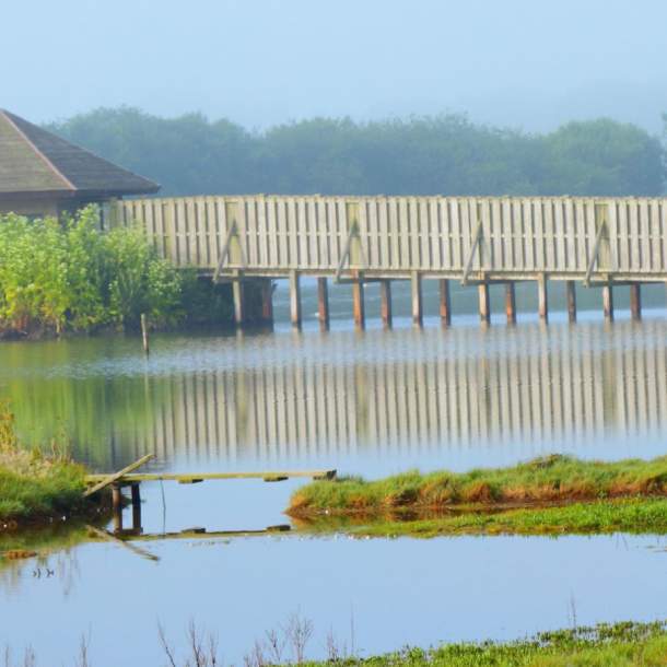 seaton wetlands