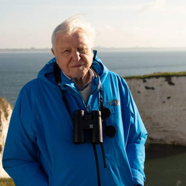Sir David Attenborough BBC one wild isles