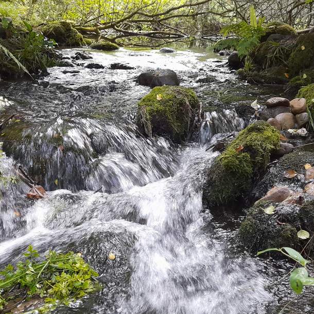 blue pool at muckross, Killarney