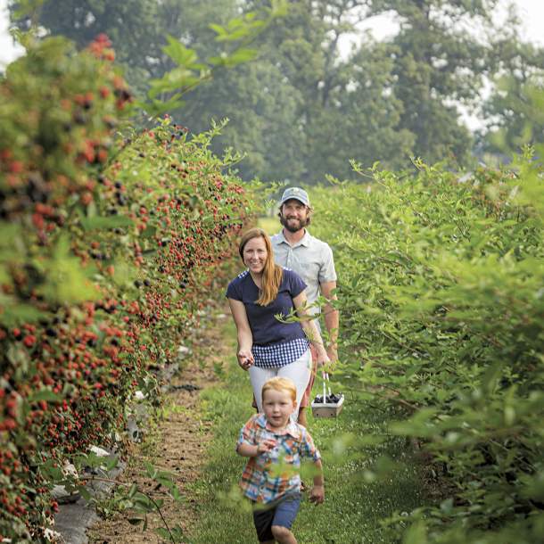 Berry Farm