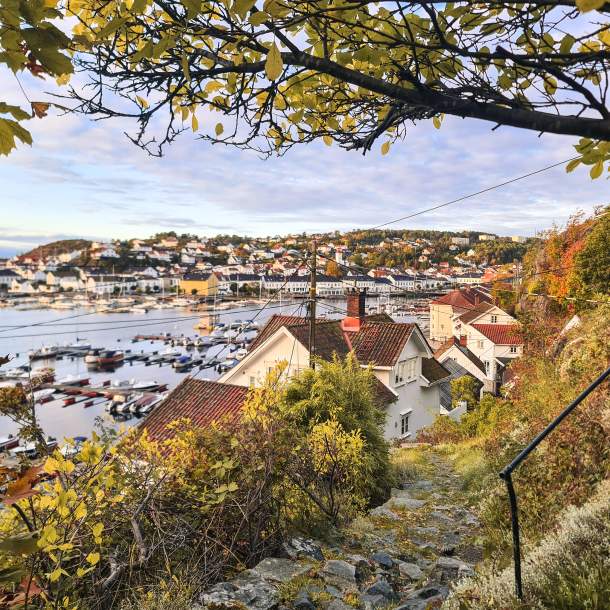 A autumn view of Risør showing the harbour and historic town centre