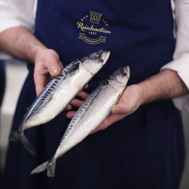 Makrell hos Reinhartsen i Kristiansand