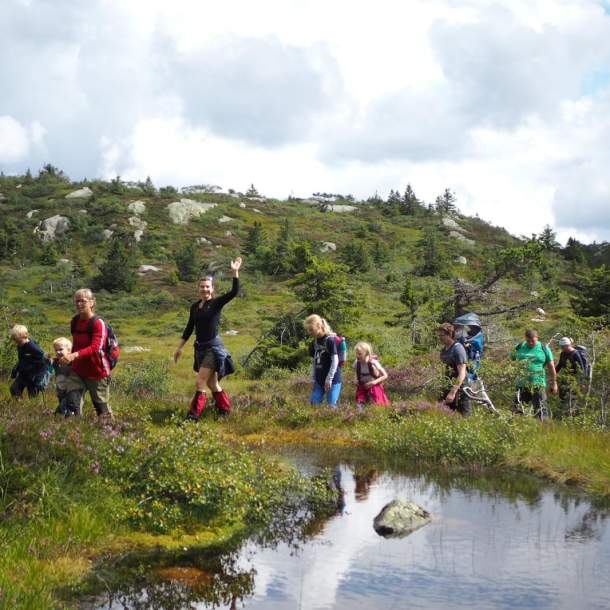 Hillestadheia - tur i skogen