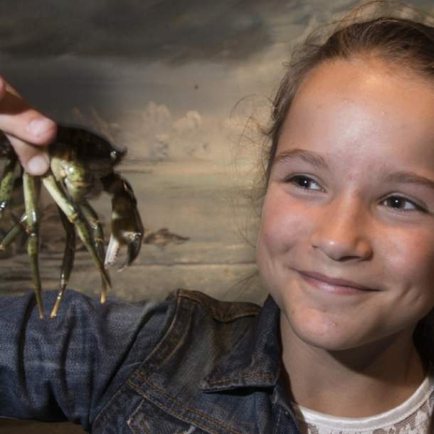 Girl holding crab at Risør Akvarium