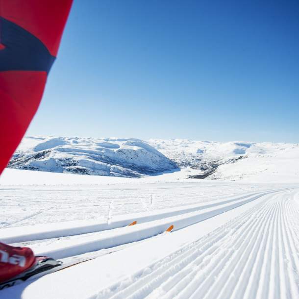 Ski tracks in Hovden