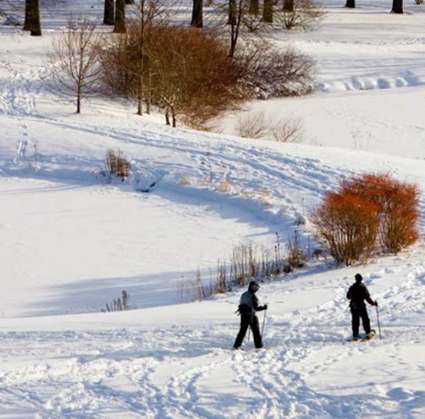 cross country skiing