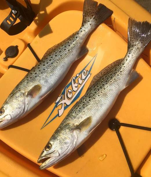 Teach Your Kids How to Fish on the Outer Banks