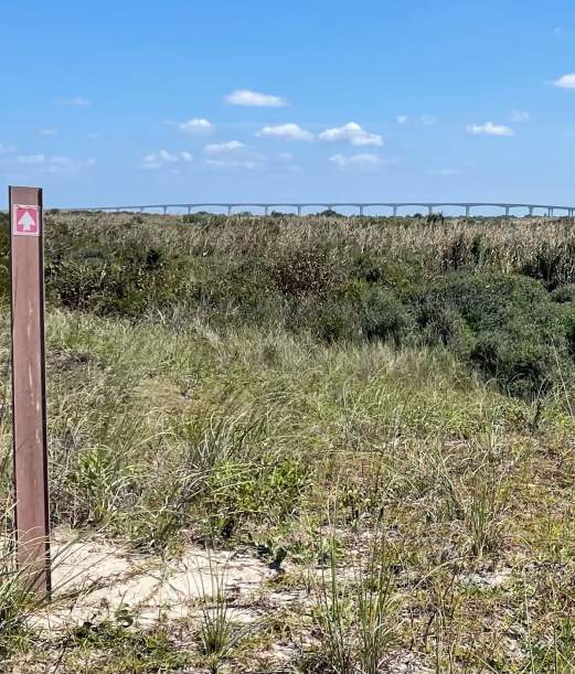Great Outer Banks Hikes