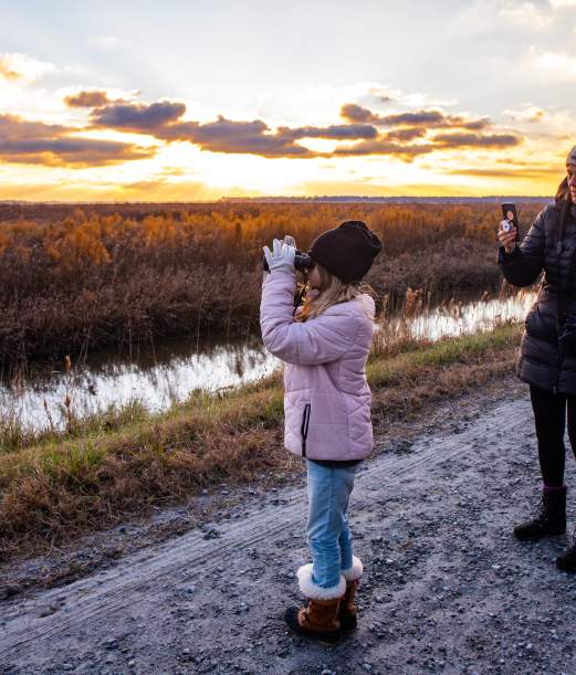Why Bird Watching on the Outer Banks is a Memorable Experience