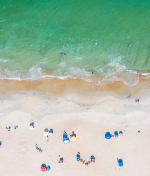 visitors enjoying a day at the beach