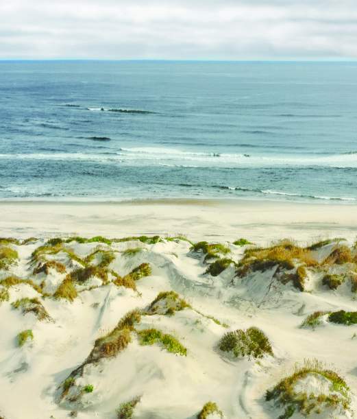 OBX Stewardship Bucket List