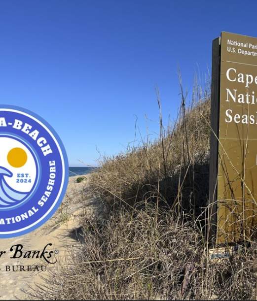 'Promise for the Park' Beach Cleanup