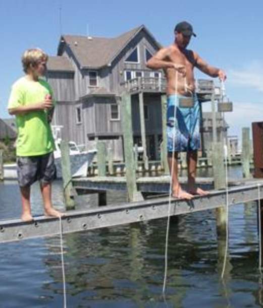 Day at the Docks