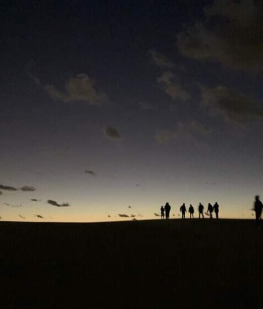 In the Park After Dark - Night Hike