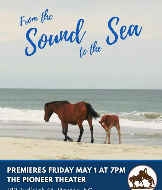 Documentary on Corolla Wild Hourses