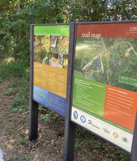 VOLUNTEER: Nags Head Woods Trail Project