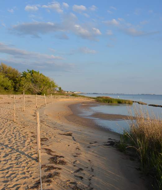 VOLUNTEER: Friends of Jockey's Ridge Soundside Sweep and Marine Debris Cleanup
