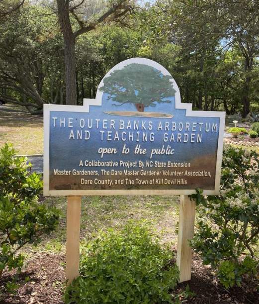 VOLUNTEER: Dare County Master Gardeners Arboretum Projects