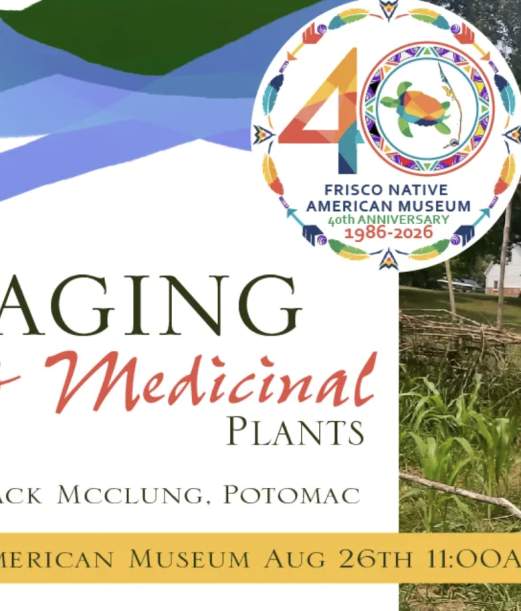 Foraging Edible & Medicinal Plants