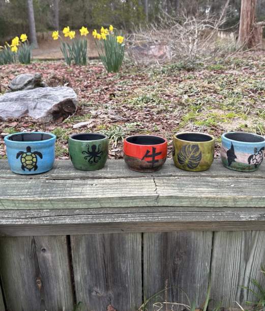 Raku Pottery Glaze & Plant with VR Pottery