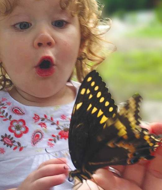 Butterfly Release
