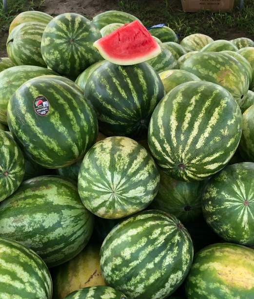20th Annual Watermelon Festival